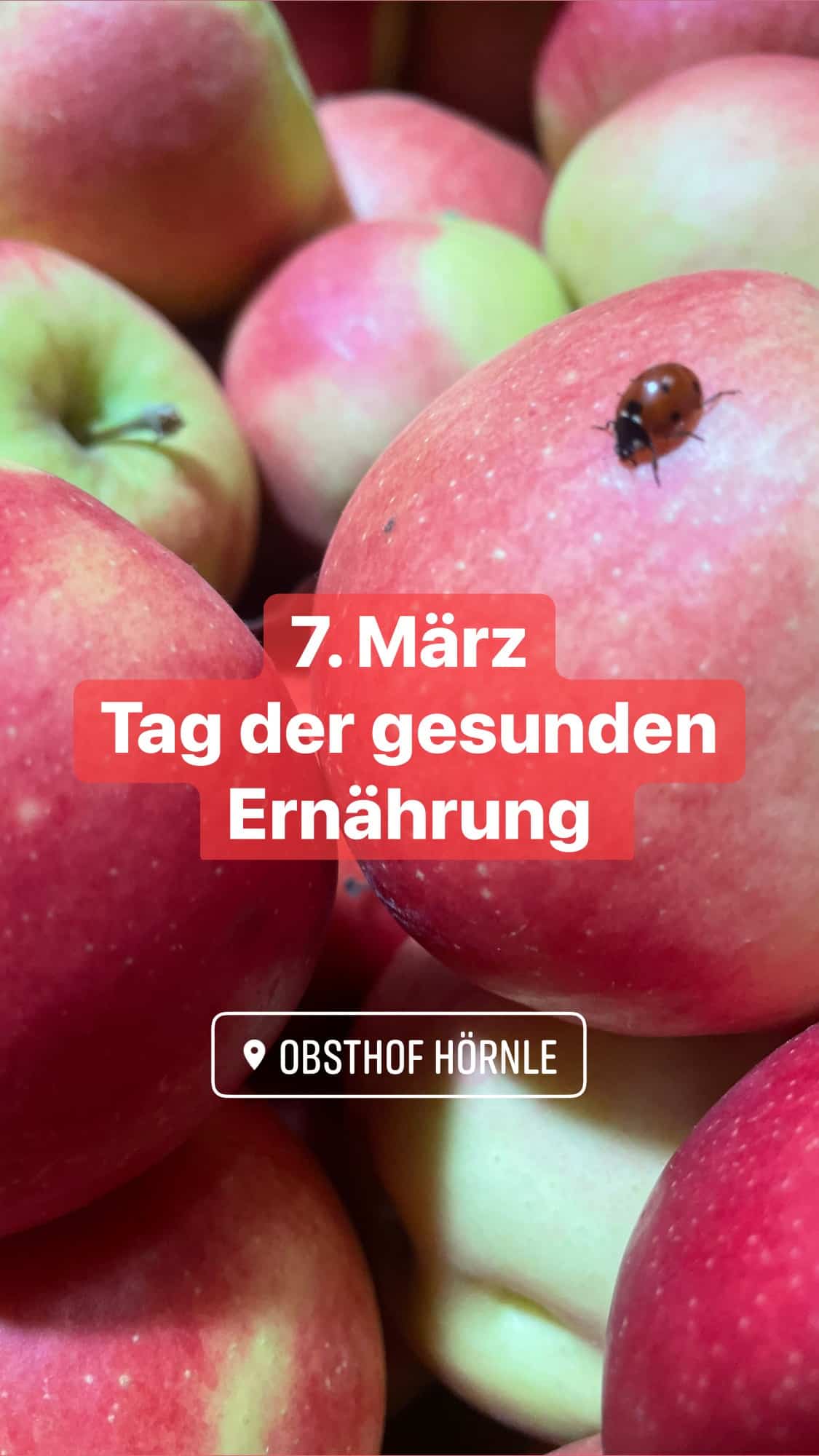 Read more about the article Tag der gesunden Ernährung