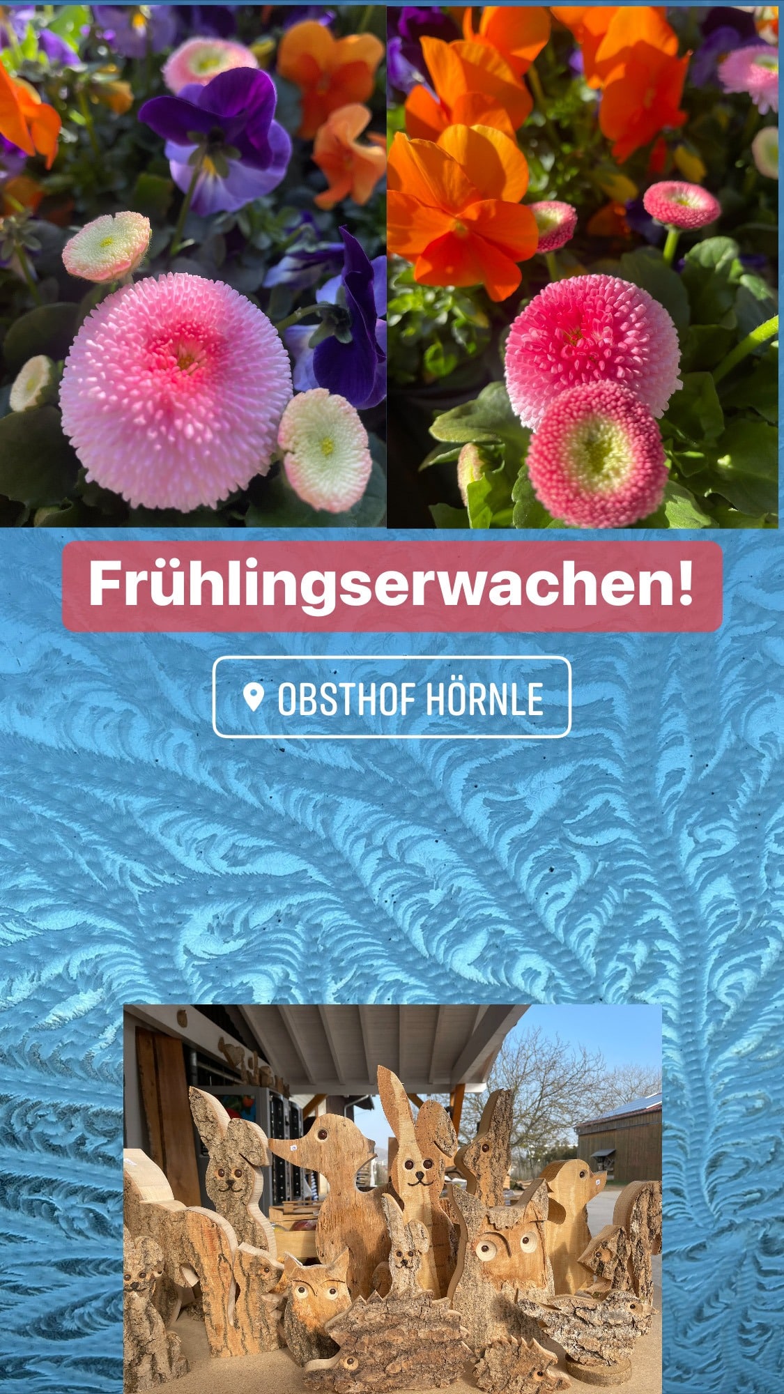Read more about the article Frühlingserwachen!