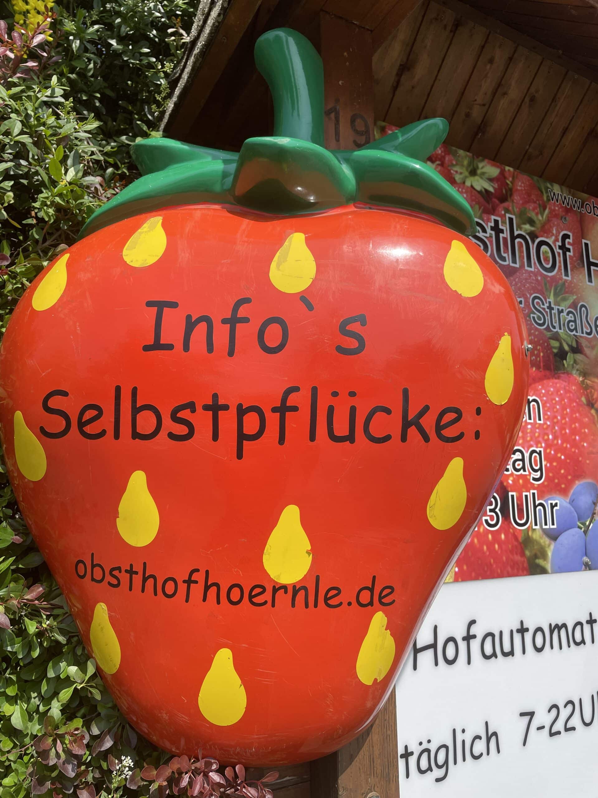 Read more about the article Info Selbstpflücke Erdbeeren 2023